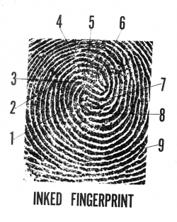 fingerprint mitchell byron usa htm